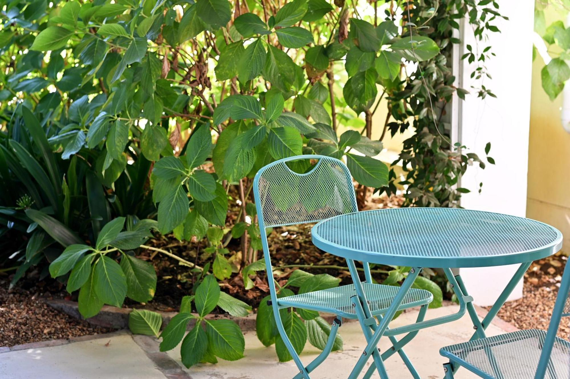 Fransvliet Guest House ฟรันเชิค ภายนอก รูปภาพ